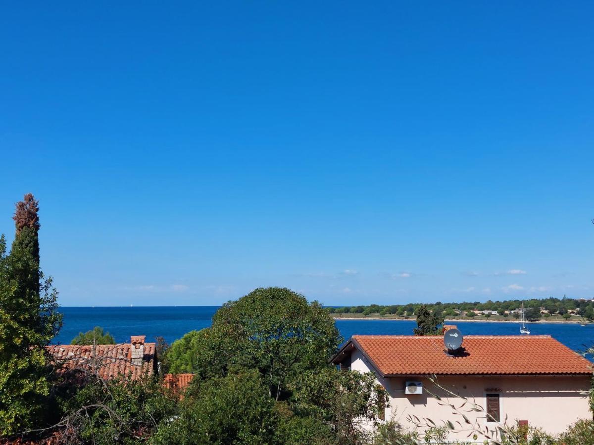 Apartments Henc Novigrad  Exterior photo